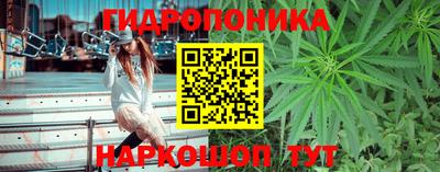 спайс Свободный