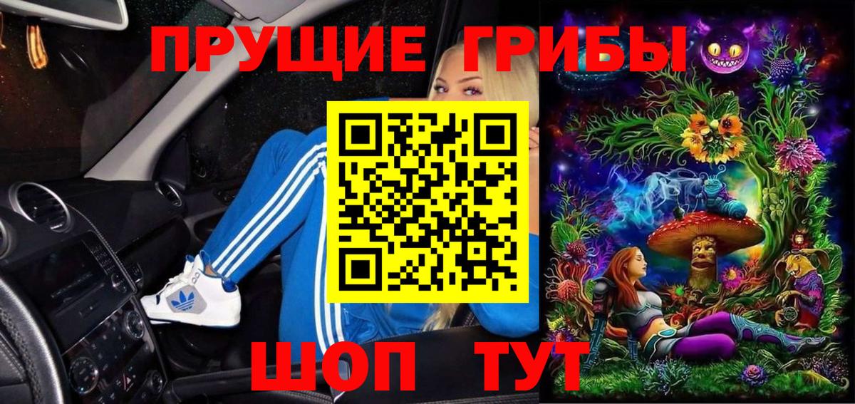 Псилоцибиновые грибы Psilocybe Набережные Челны