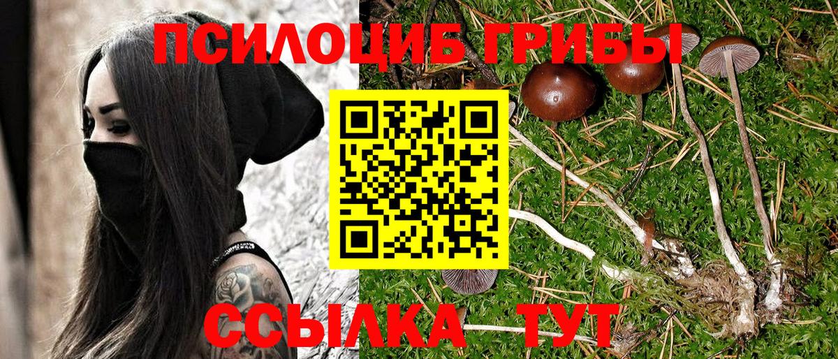 Псилоцибиновые грибы Magic Shrooms  Вход с VPN  наркотики  Галлюциногенные грибы Cubensis  Набережные Челны 